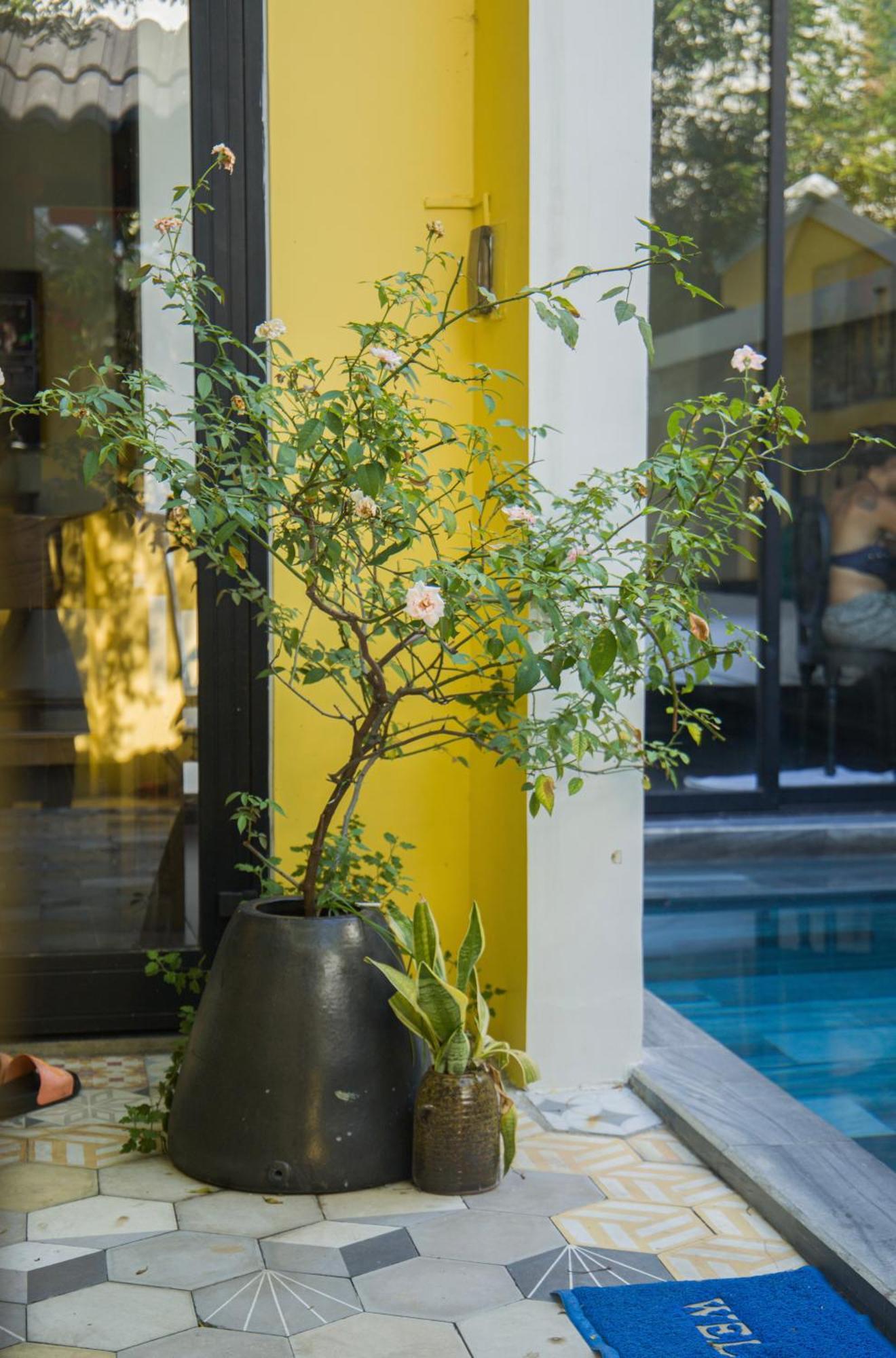 Rosie Villa Hội An Buitenkant foto